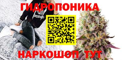 гидра Можга
