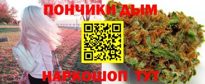 гидра Можга