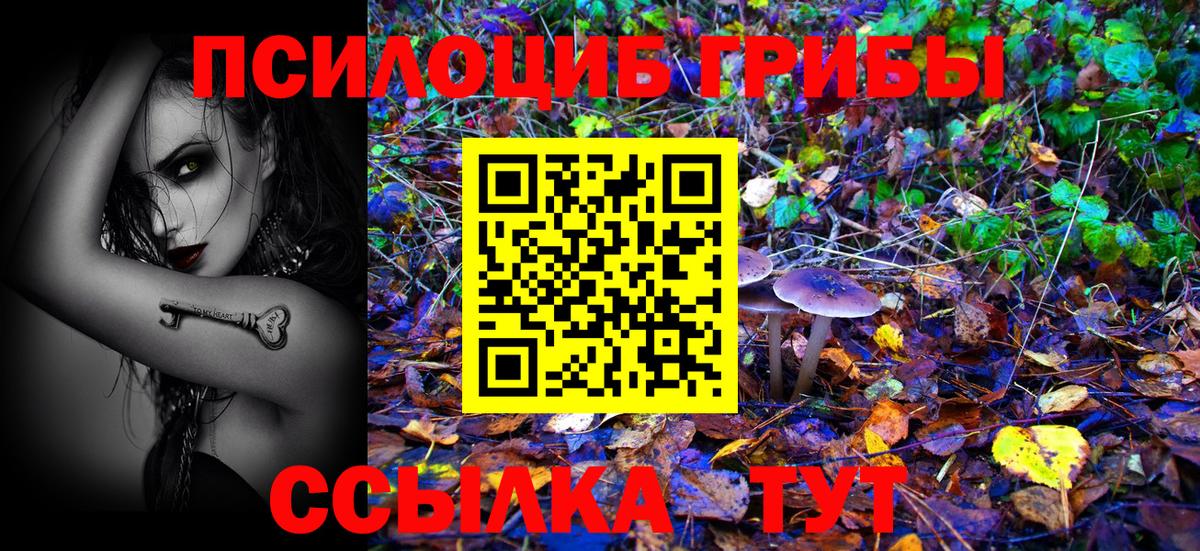 Псилоцибиновые грибы мицелий Тамбов